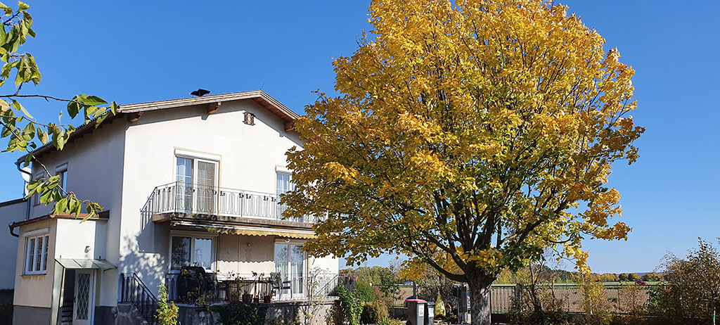 Georg und Teresa Kerschbaum Wiener Neustadt